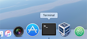 terminal